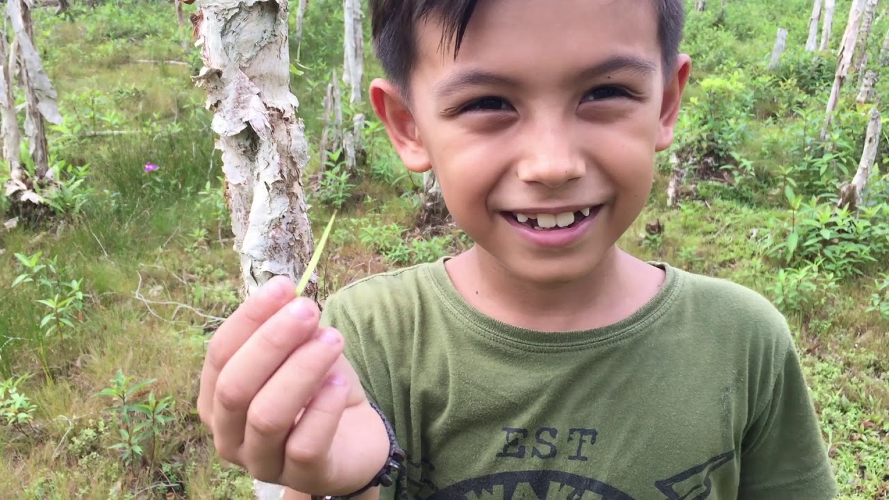 Enzo di rumah alami di palangkaraya