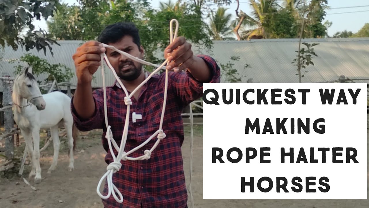 Fastest method to make ropehalter for horse