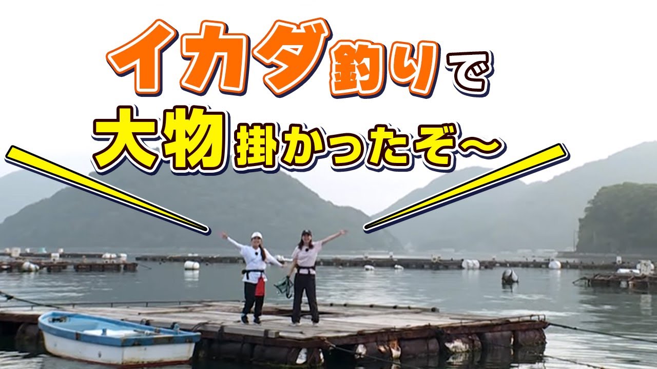 GO!GO!九ちゃんフィッシング #538　「絶対ハマるイカダ釣り 狙えクロダイ・マダイ・特大カワハギ！」