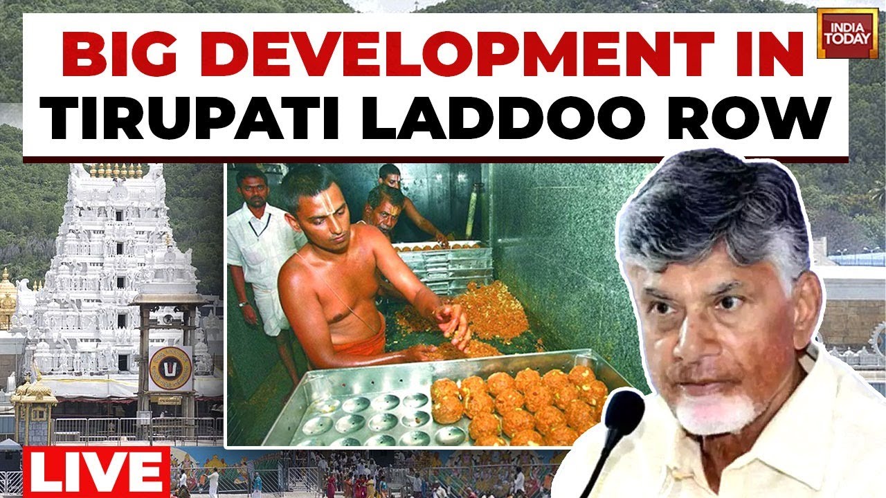 Tirupati Laddoo Row LIVE: Tender Document Raises Questions On Ghee Selection Process
