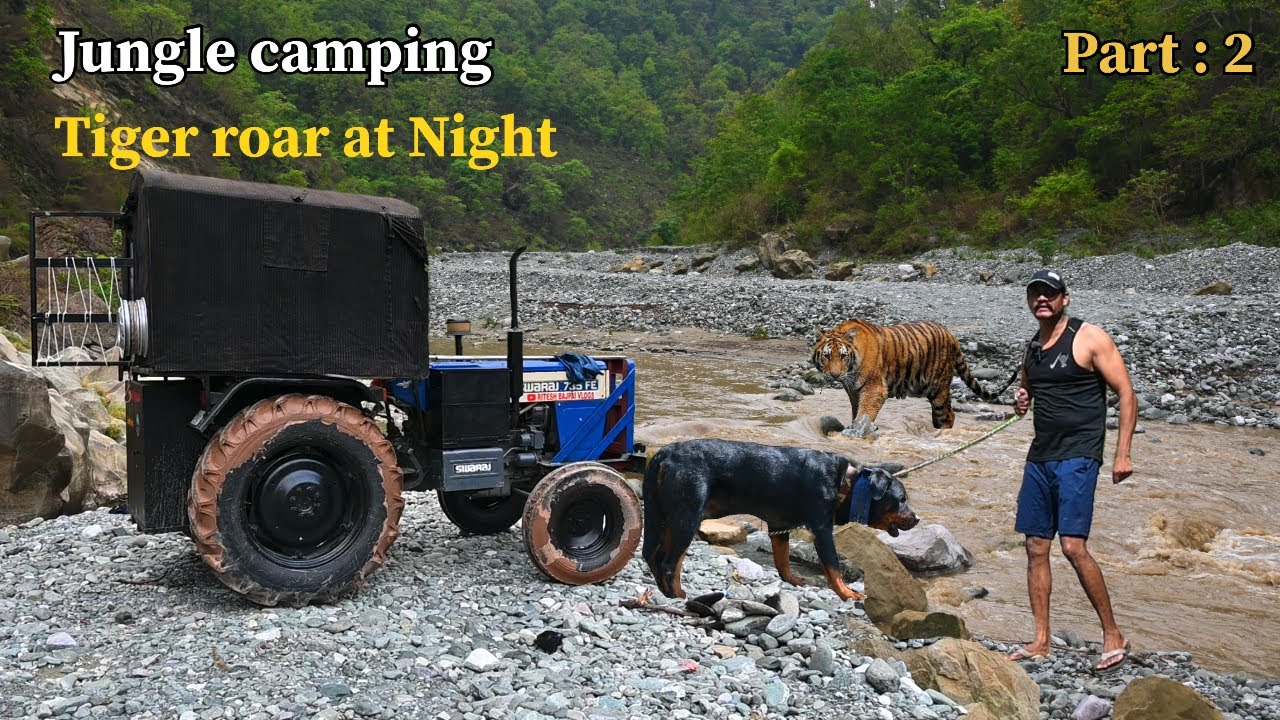 रात में Tiger आ गया ट्रैक्टर के पास | Jungle camping | Tiger spotted  | Tractor caravan | Riverside