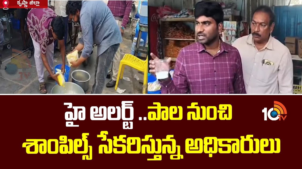 హై అలర్ట్ ..పాల నుంచి శాంపిల్స్ సేకరిస్తున్న అధికారులు | Adulterated Milk | AP News | 10TV News