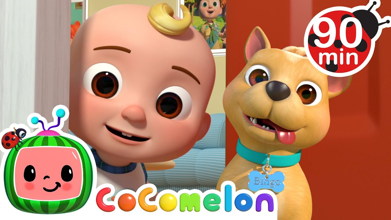 The Search for Bingo! Where is He? | CoComelon | Animals for Kids | Sing Along | Learn about Animals