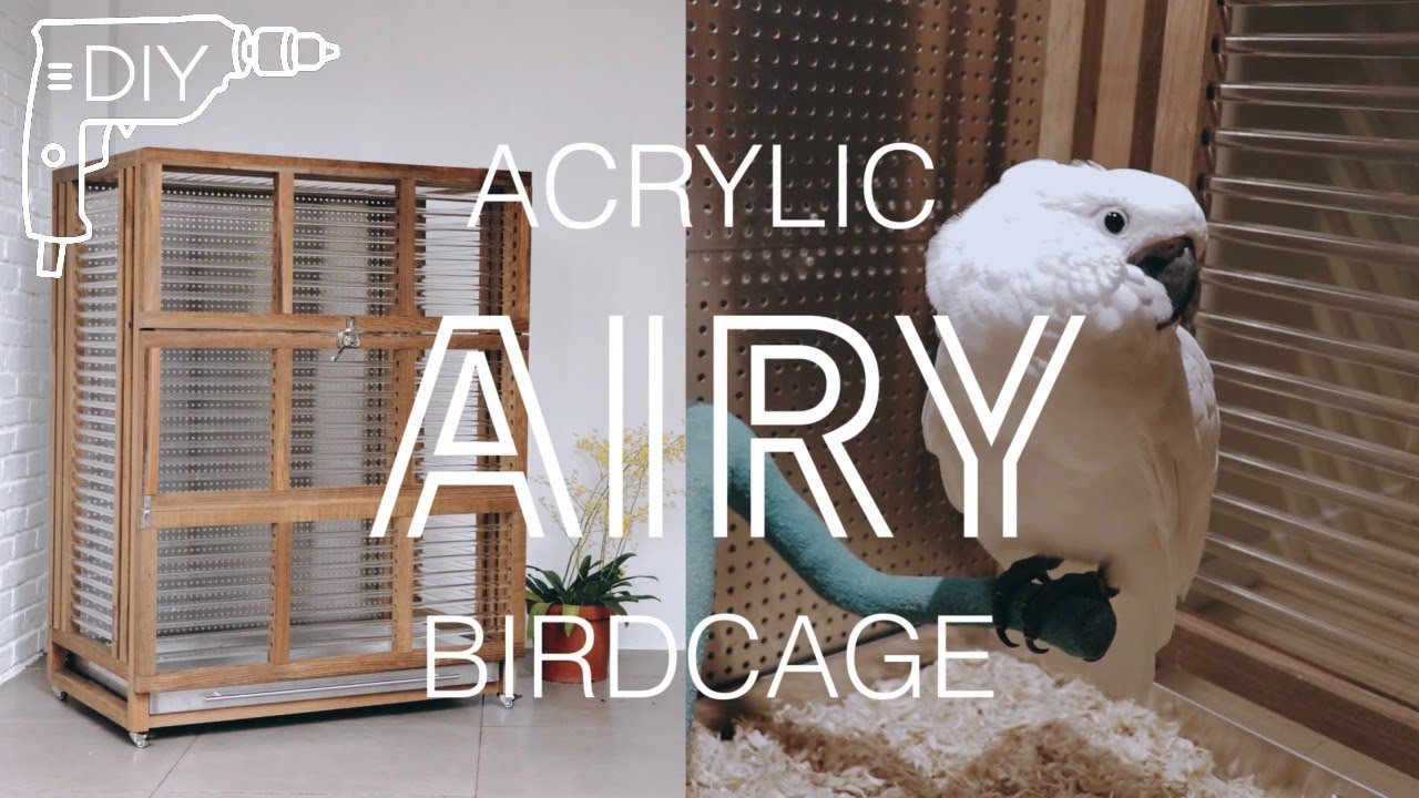 Manana&rsquo;s Acrylic Bird Cage Homemade - Full Build - How to make 鳥籠 DIY