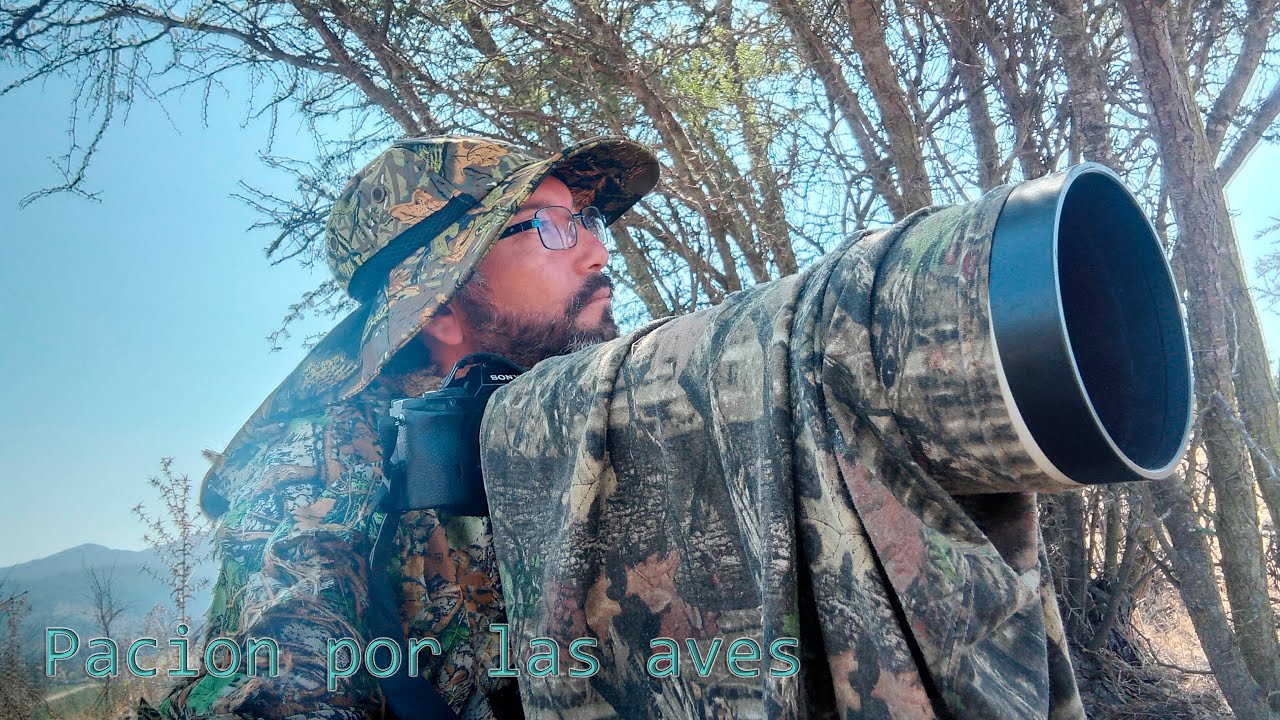 Pasión por las aves