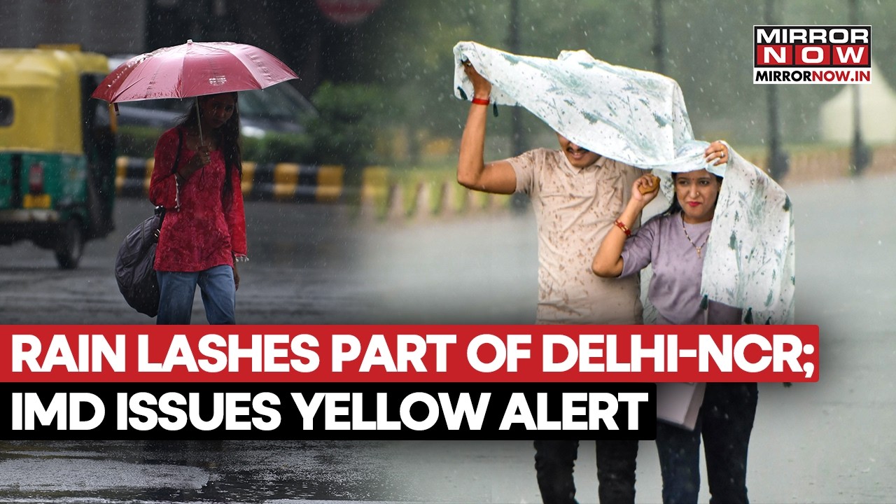 India Weather: Heavy Rain and Thunderstorms Bring Relief From Extreme Heat In New Delhi | WATCH