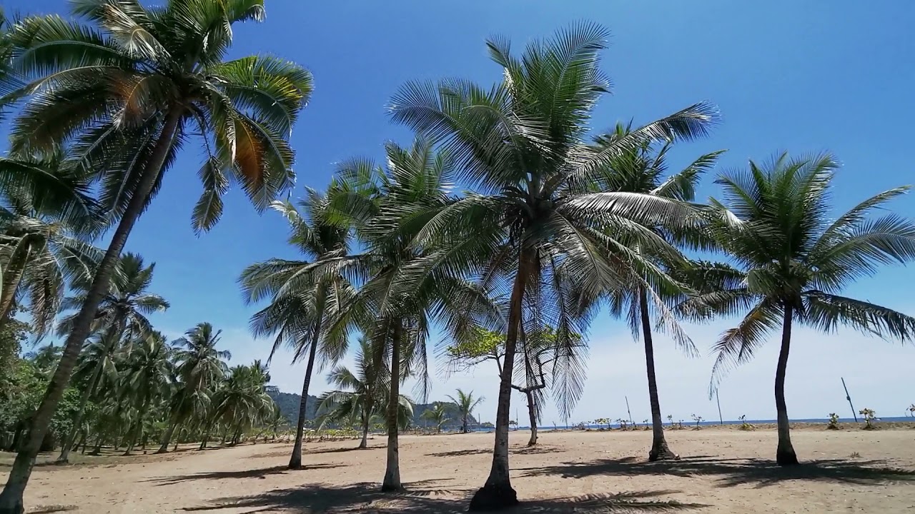 Costa Rica, Playa Jaco 🌴🌴🌴❤️🌹
