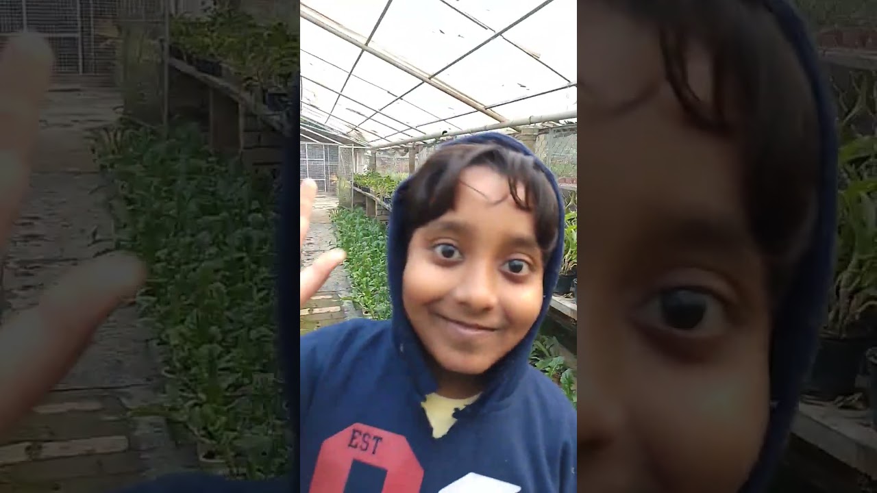 s k n rose horticulture farm location Google maps shikharpur Rajarhat 9830321126