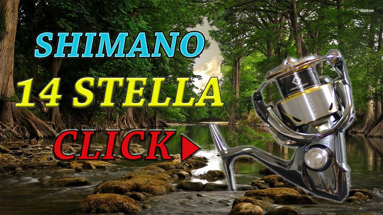 Shimano reel   14 STELLA 4000 From JAPAN