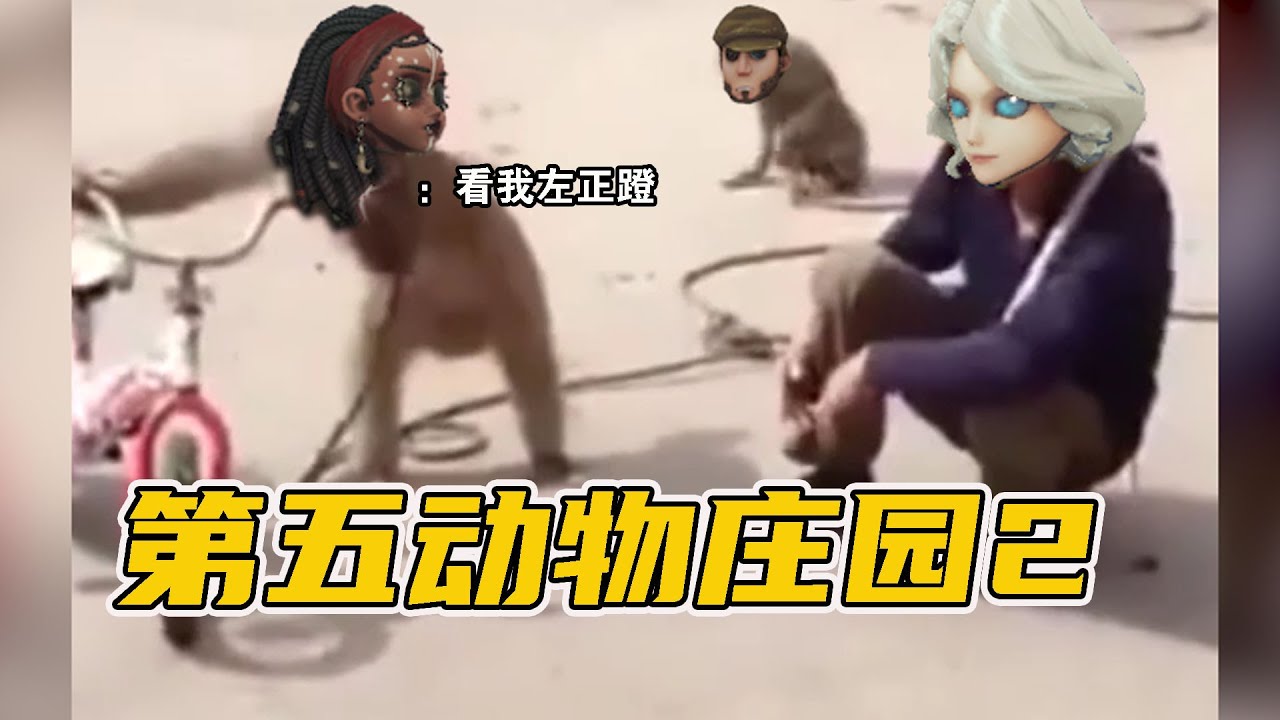 第五人格：真实的动物派对！