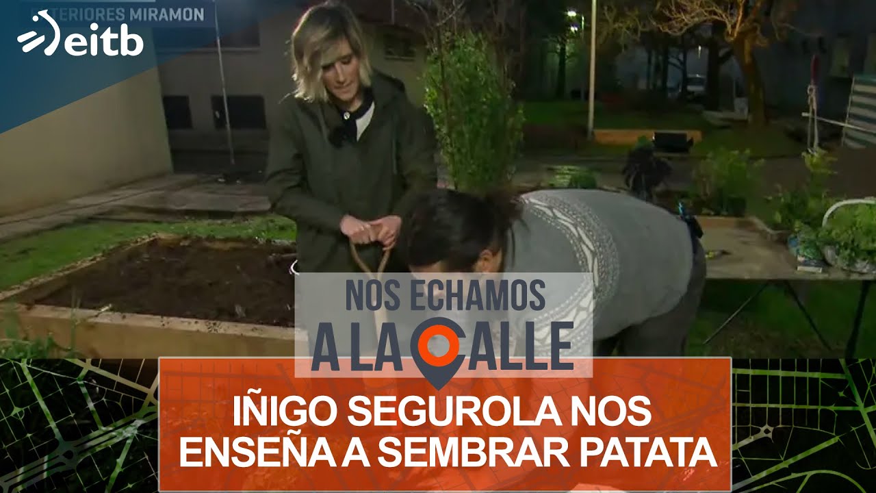 Iñigo Segurola nos enseña a sembrar patata