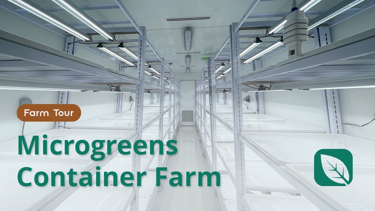 Microgreens Container Farm Tour