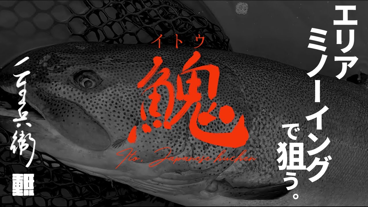 エリアミノーイングで狙うイトウ（魚鬼）【エリアトラウト】