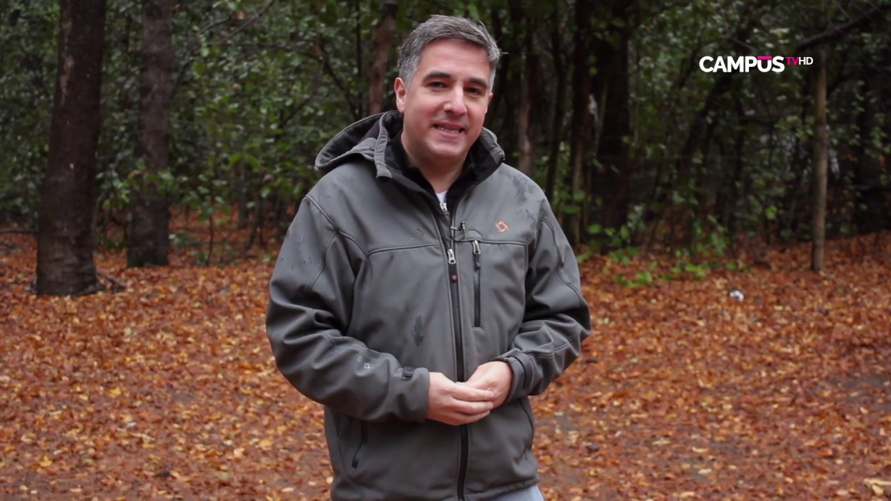 Panoramas del Maule: Los atractivos de la Reserva Altos de Lircay en invierno