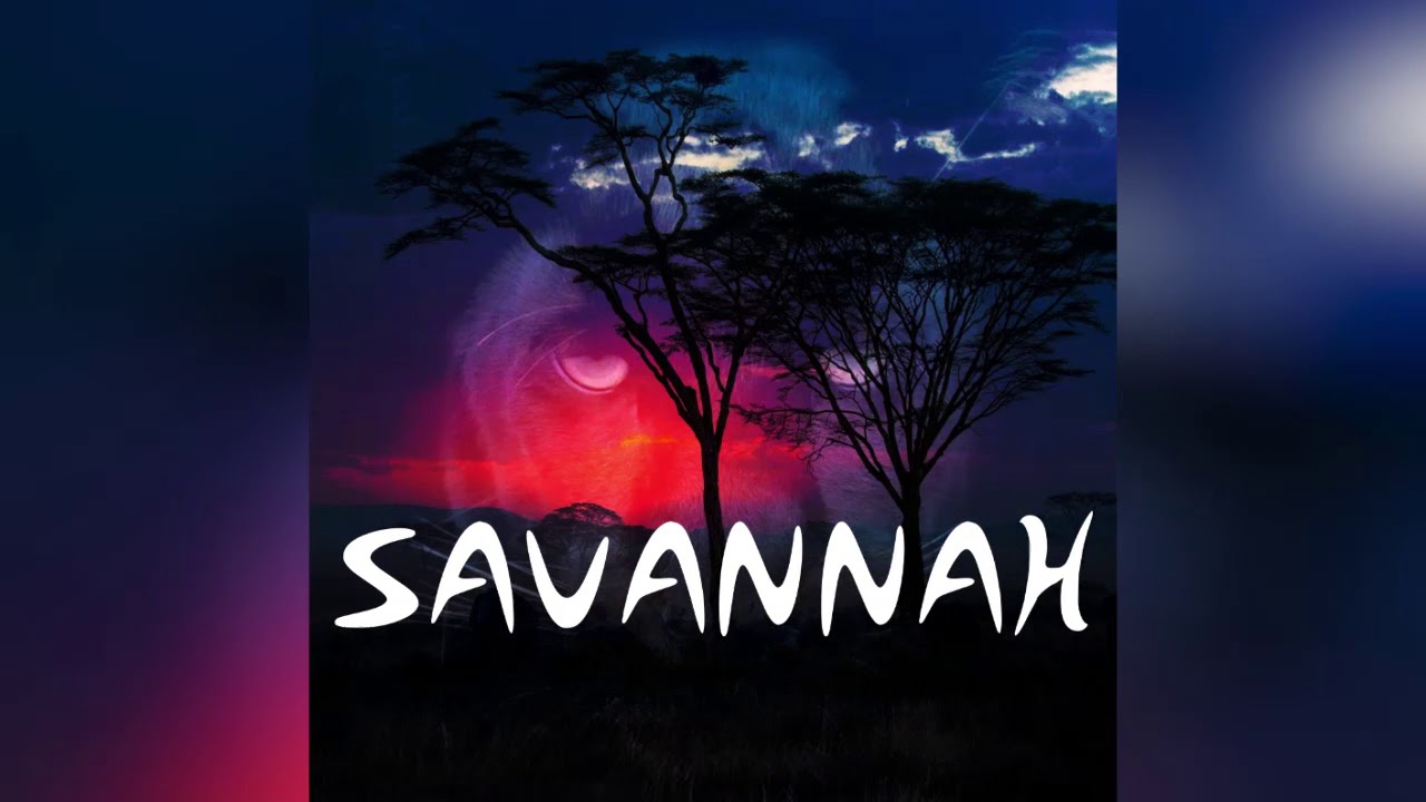 Black Muffin - Savannah