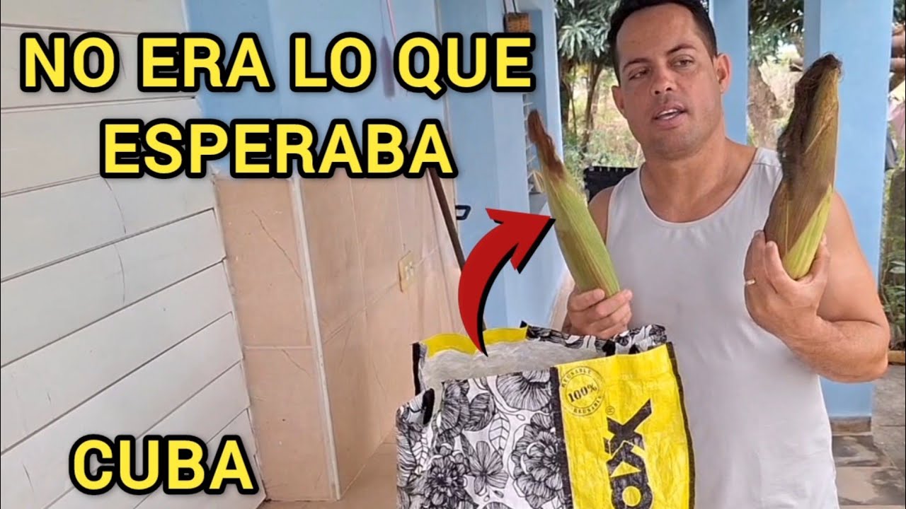 Queríamos hacer esto en Cuba y salió otra cosa.