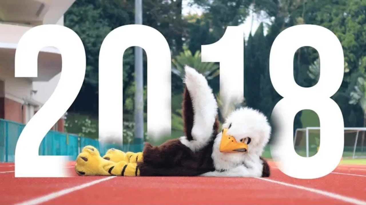 The Official SAS Senior Video - Class of 2018