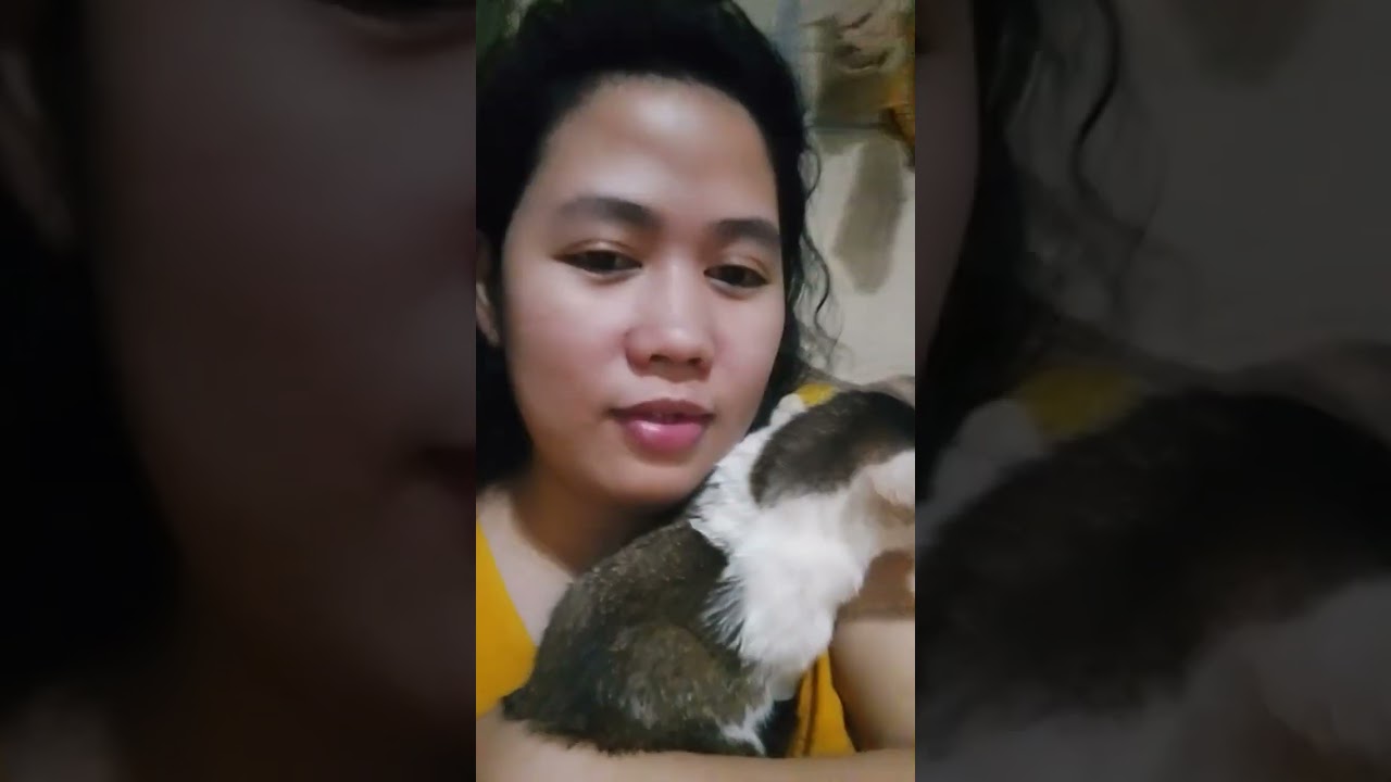 May pusang naglalambing😊 사랑해