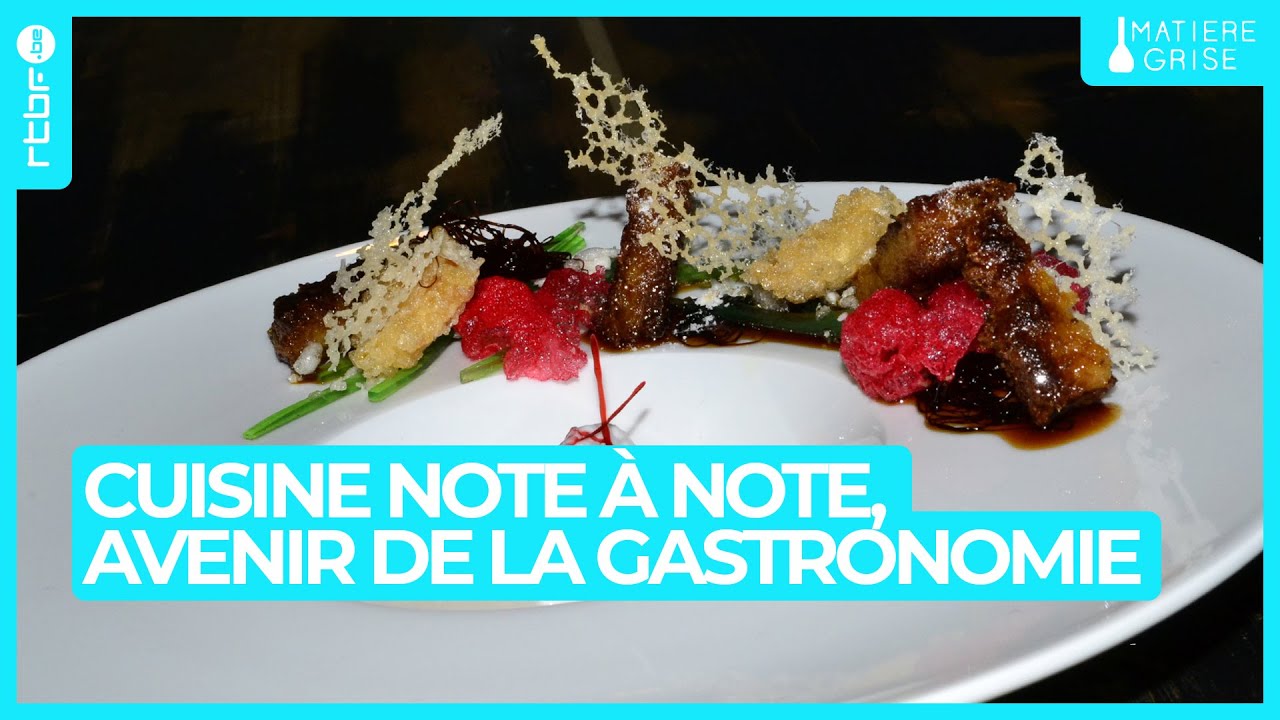 Cuisine moléculaire et l'avenir de la gastronomie avec Hervé This - Matière Grise