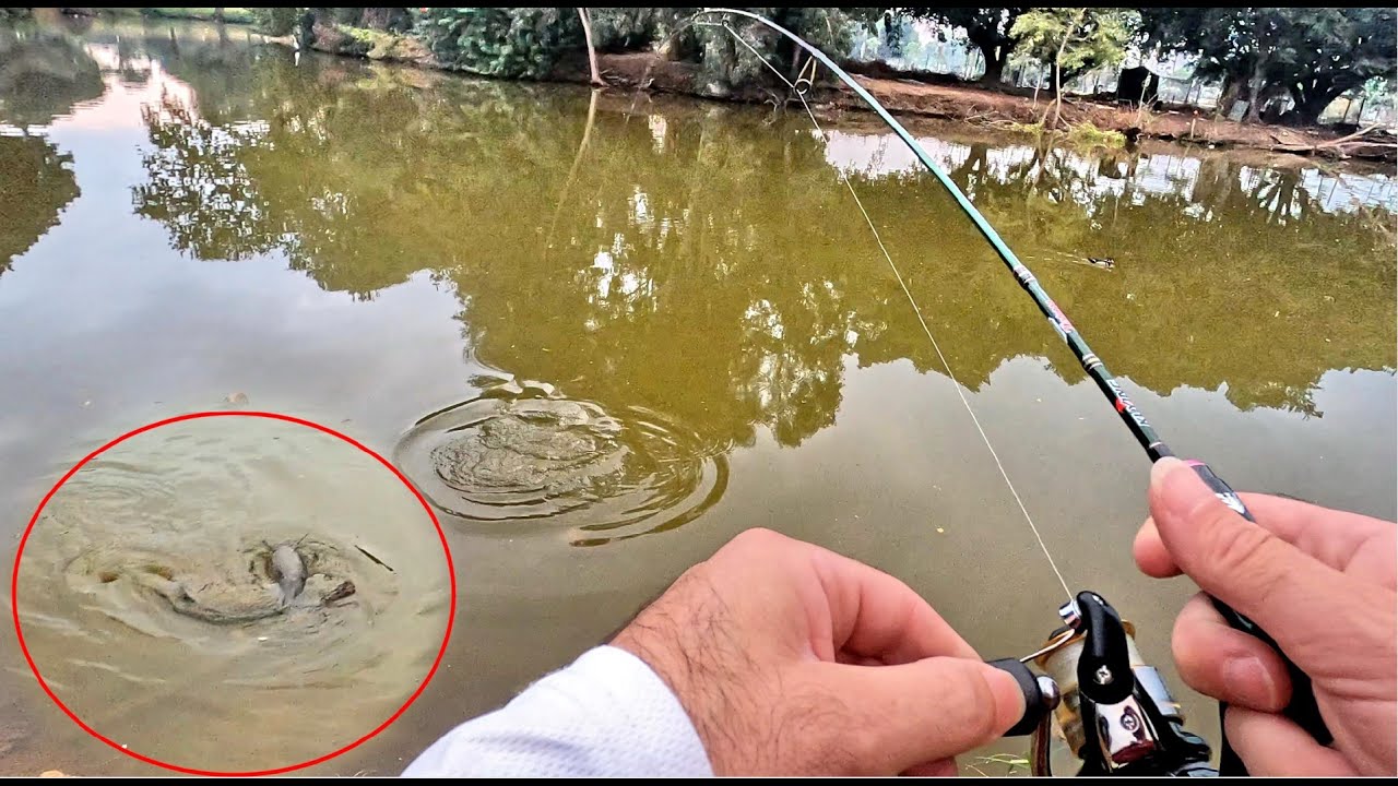 דיג בז'רז'ור Extra Ultralight סשן נוסף בפארק הלאומי 🎣 ופייט מהנה של 5 דקות עם שפמנון  😊 HE/EN Subs