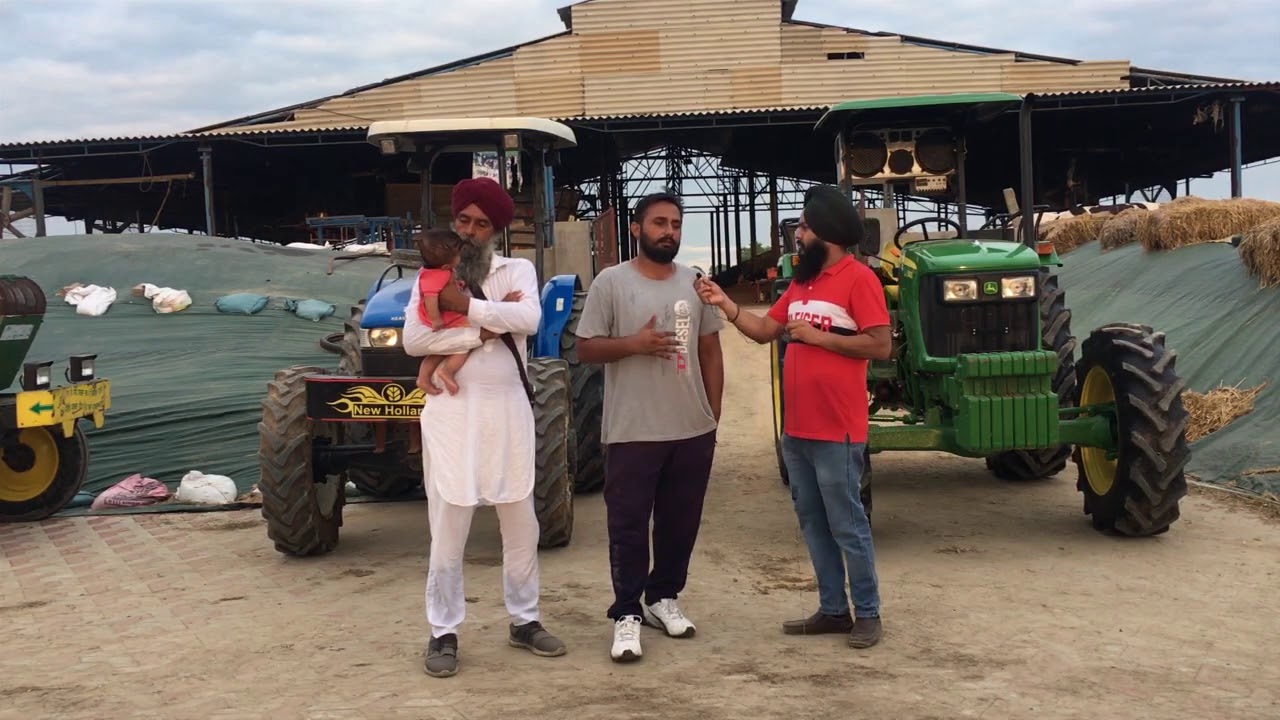 Sidhu Dairy Farm 150 + Cow Hi Milking cow 🐄 62 Ltr (kotshamir) Punjab