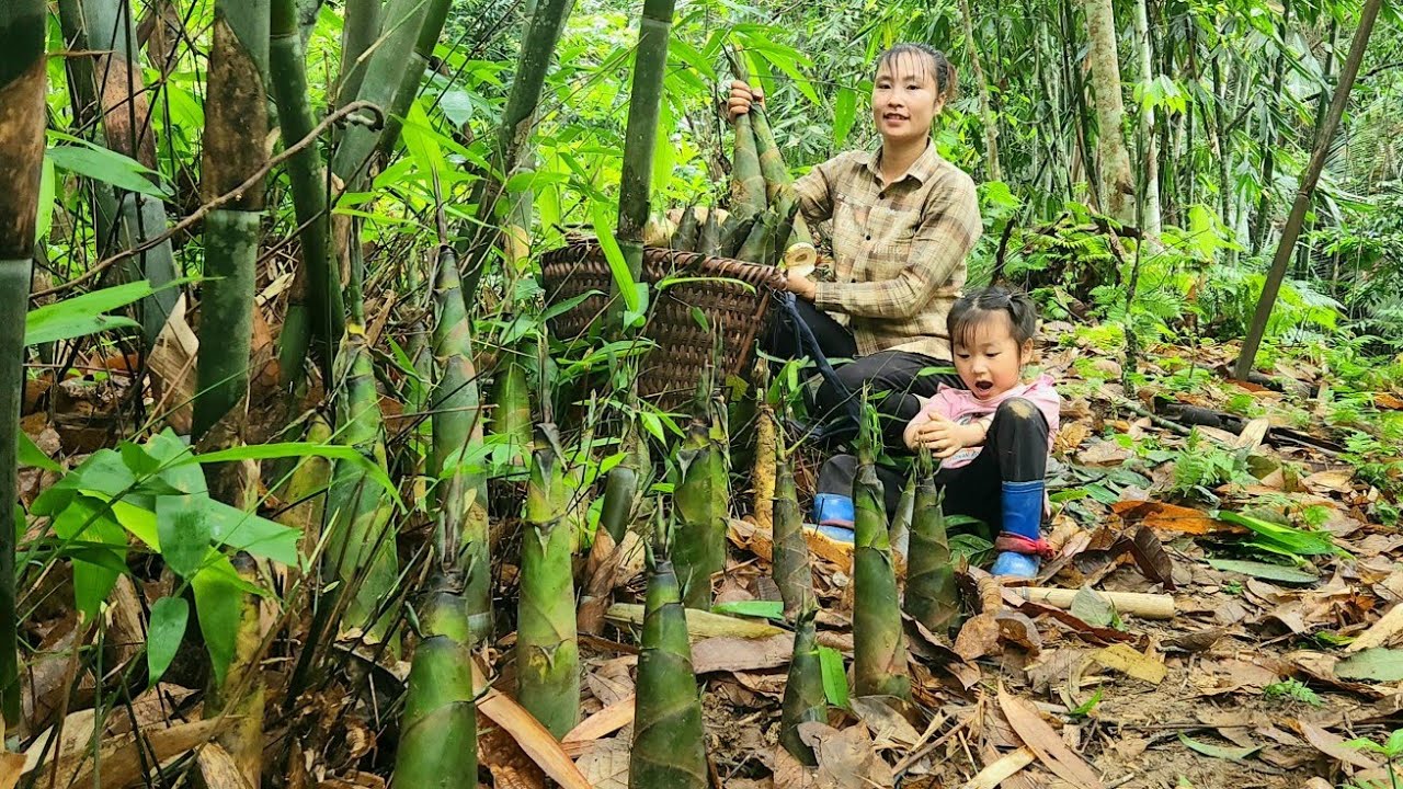 Video Full: 60 days to harvest bamboo shoots, chili, and squash for sale - harvest corn for reserve