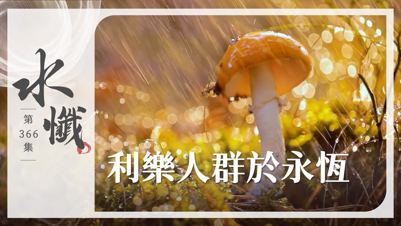 【法譬如水】 利樂人群於永恆 - 第366集｜水懺｜慈悲三昧水懺｜ 20251023