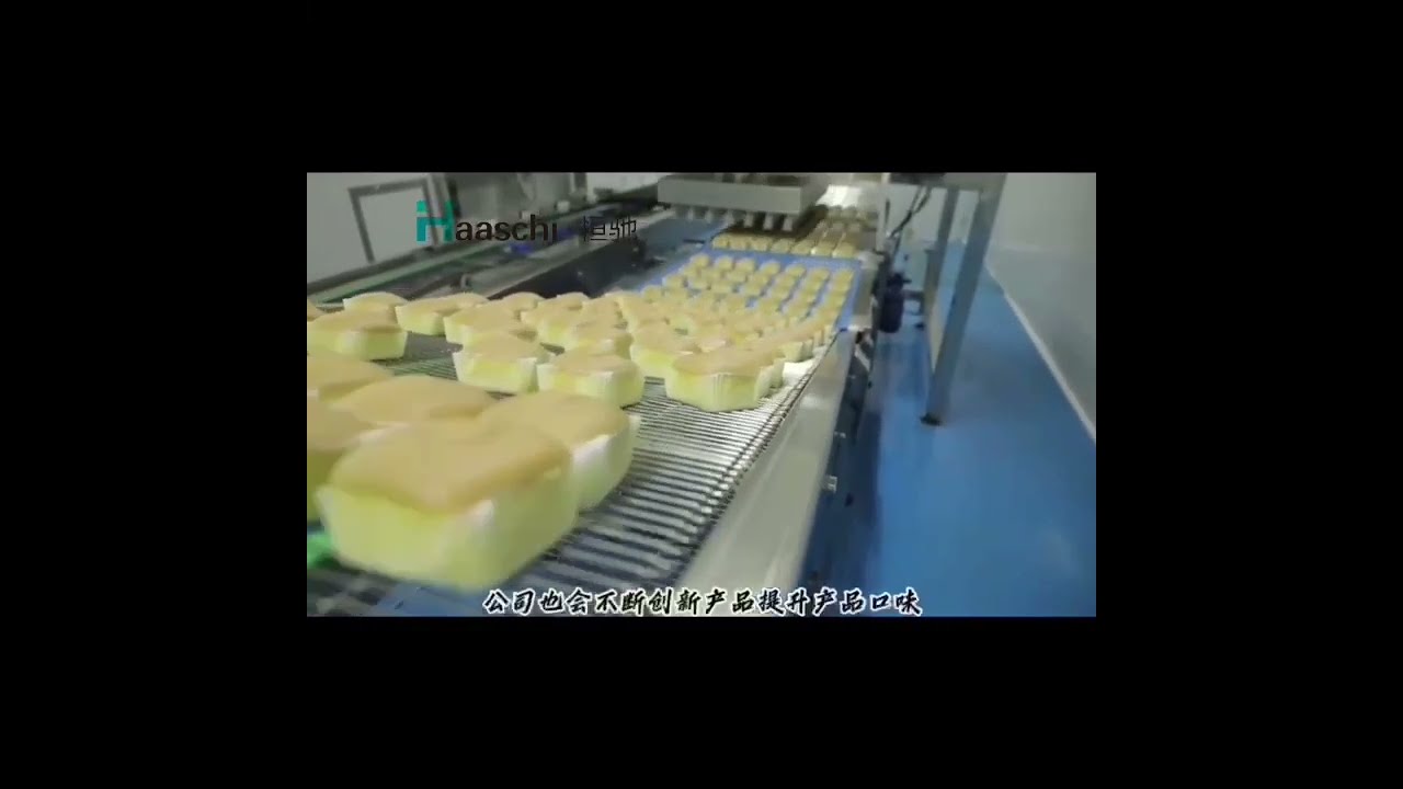 Haaschi cake machinery cake production line cake aerator spiral cooler egg crack machine 19