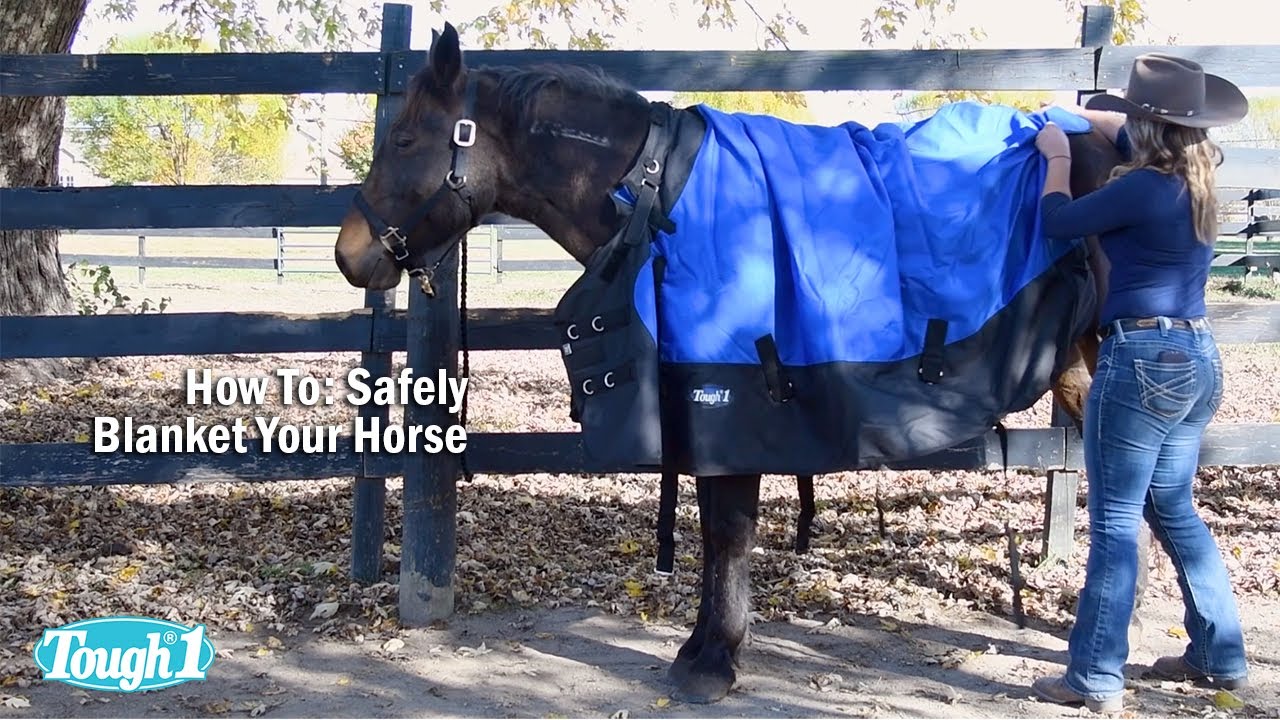 How To: Safely Blanket Your Horse