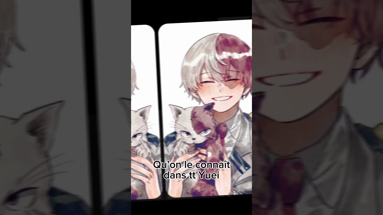 Shoto🤩#anime #myheroacademia #mha #shoto #fananime