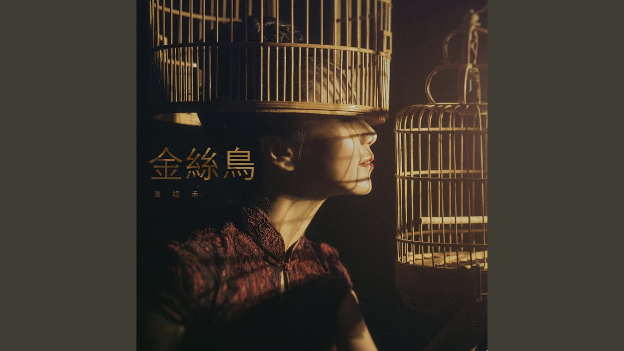 金丝鸟