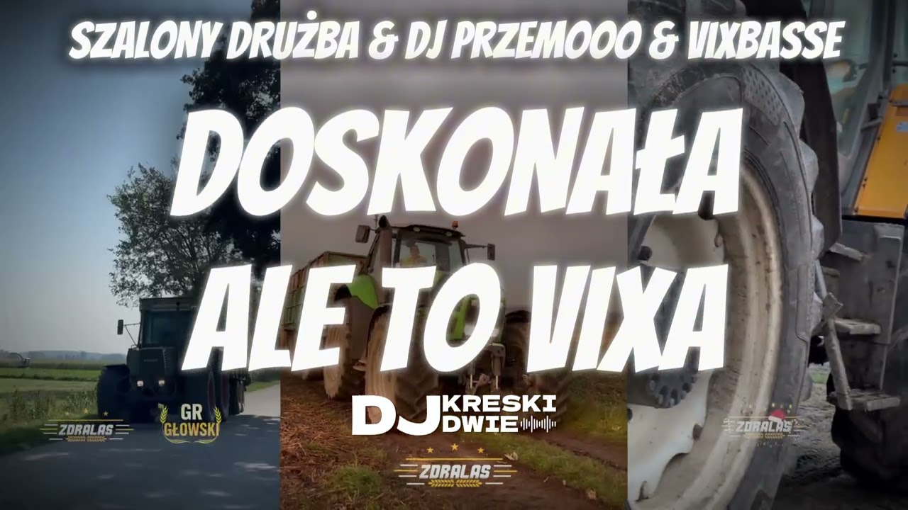SZALONY DRUŻBA & DJ PRZEMOOO & VIXBASSE - DOSKONAŁA ALE TO VIXA