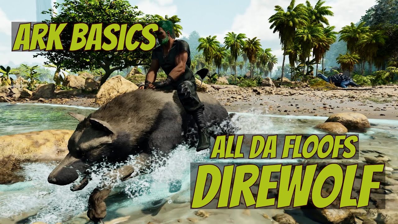 Direwolf - Ark Ascended Basics - Beginner's Guide - EVERYTHING YOU NEED TO KNOW!