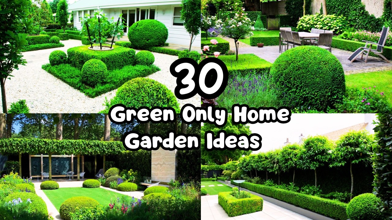 Green Only Garden Ideas | No Flowers Needed | Only Green
