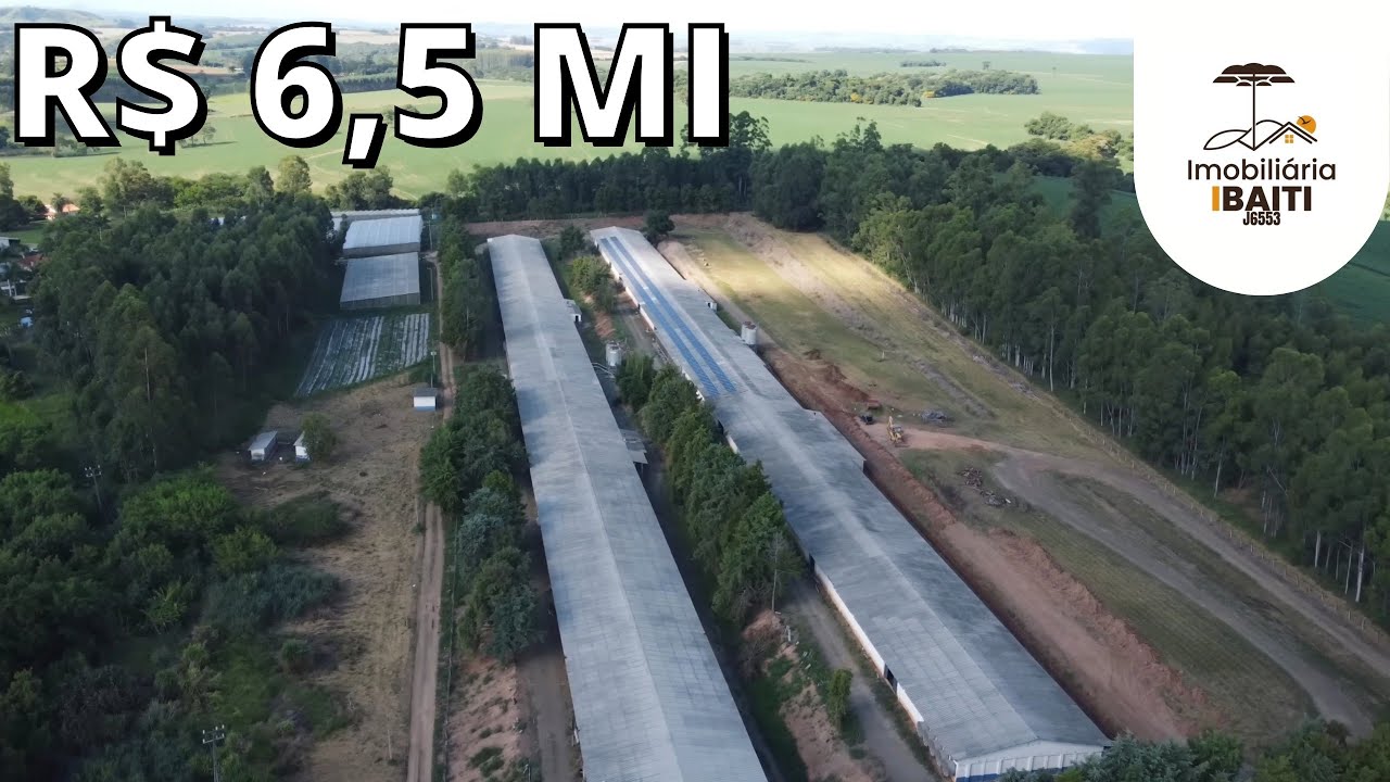 CHÁCARA SÍTIO GRANJA PRODUZINDO 120.000 FRANGOS 3 CASAS 4 ESTUFAS FÁCIL ACESSO R$ 6,5 MI-Cód:2513