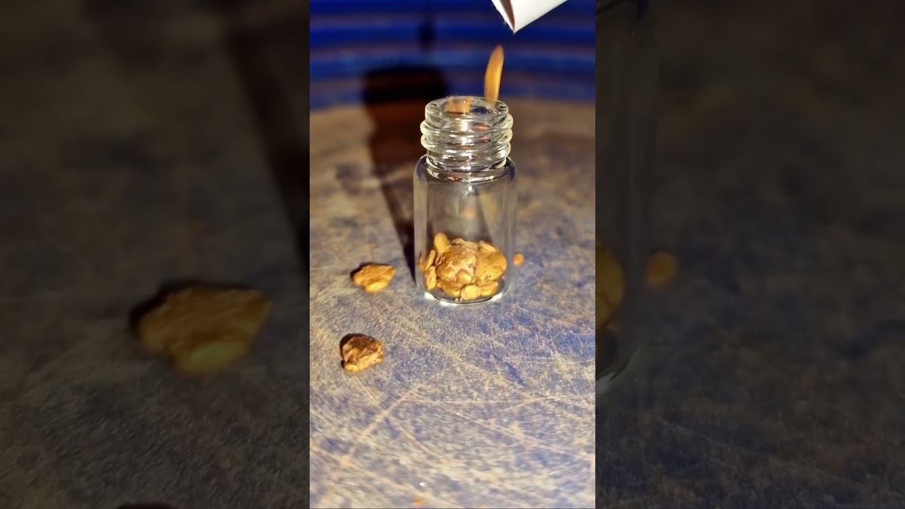 Richtig viel Gold in Deutschland gefunden! 😍🌟 #goldwaschen #goldwaschenindeutschland #goldsuchen