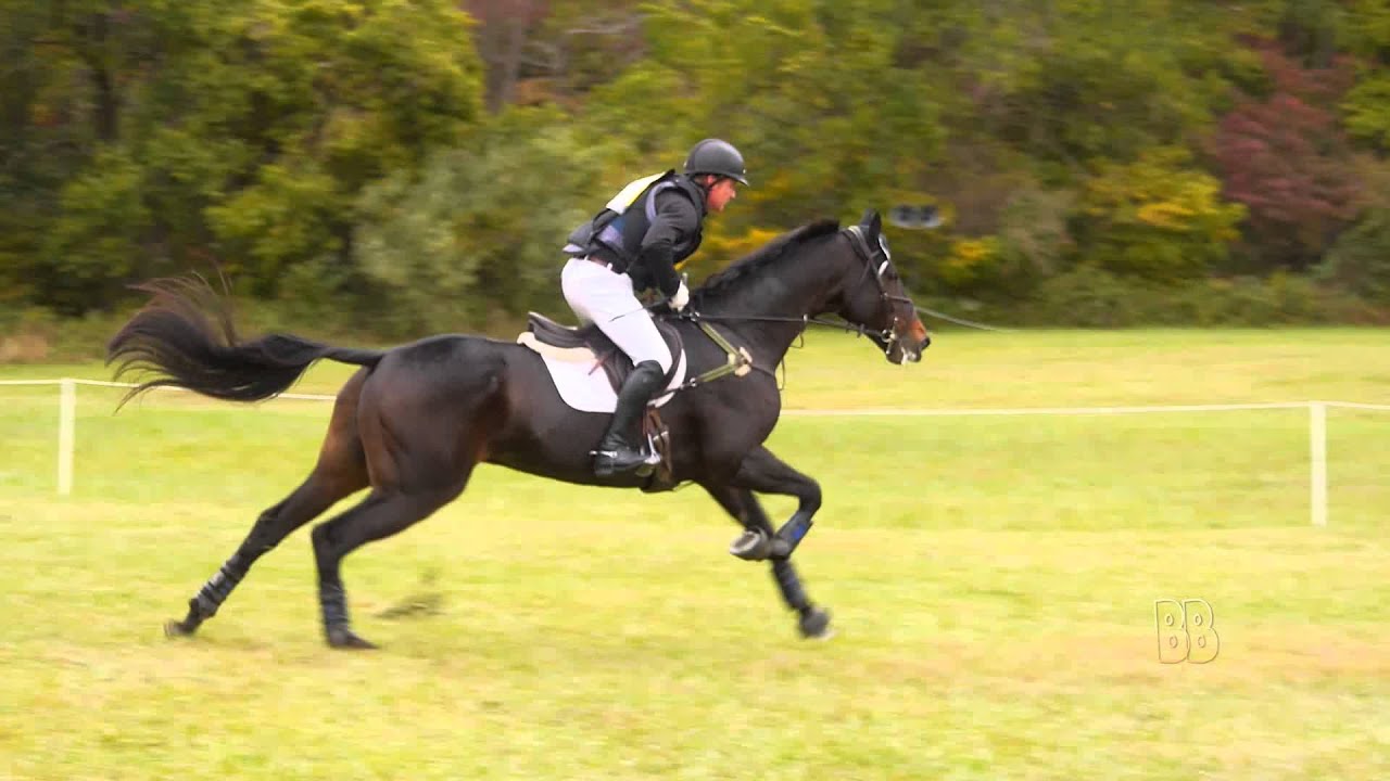 2015 Fair Hill International CCI*** 3-Day Event