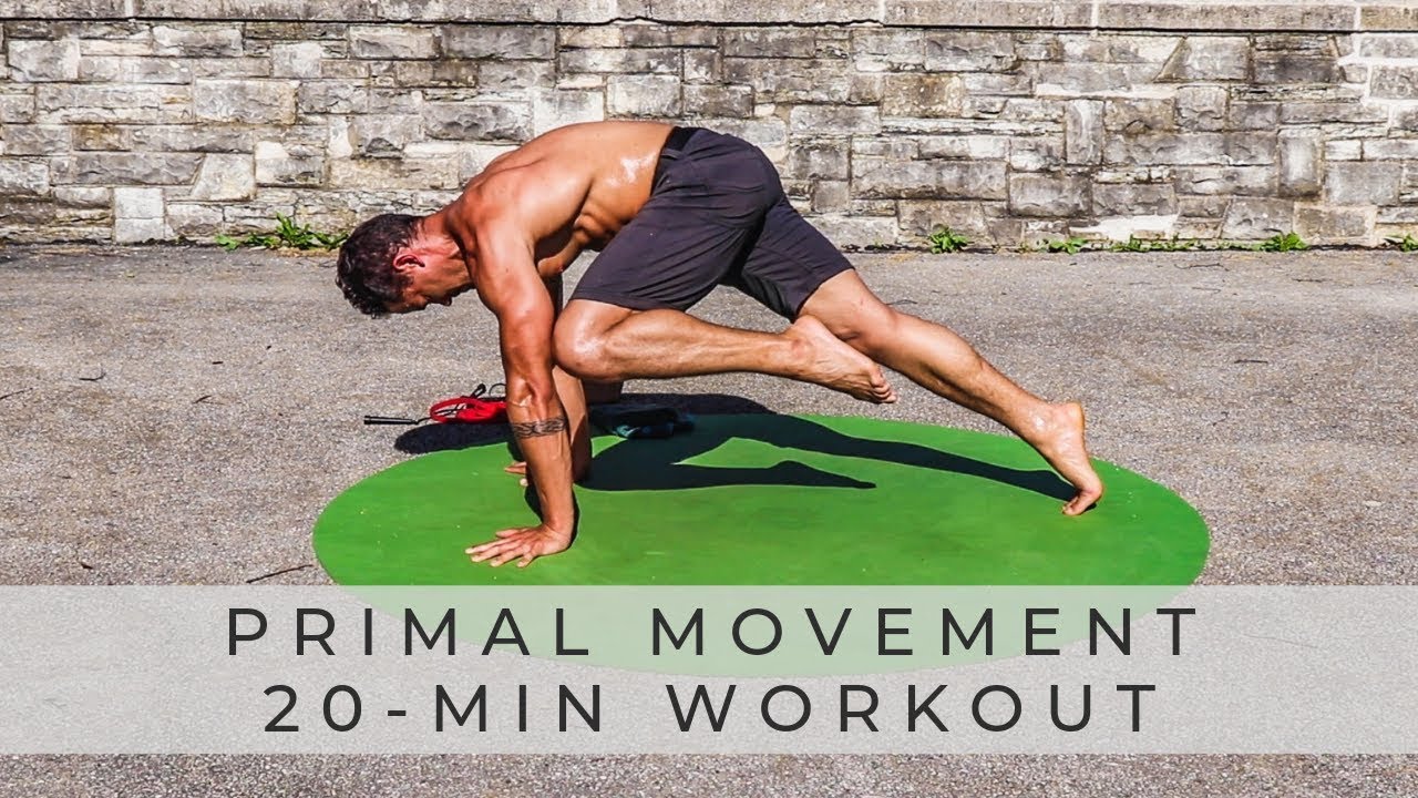 PRIMAL MOVEMENT FITNESS: тренировка с собственным весом и мышцами корпуса (продолжение)