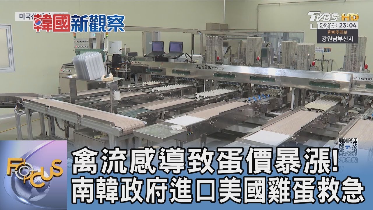 禽流感導致蛋價暴漲!南韓政府進口美國雞蛋救急｜FOCUS午間新聞 20260129 @tvbsfocus