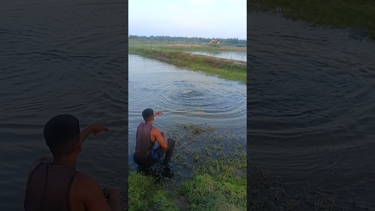 net video #amazing