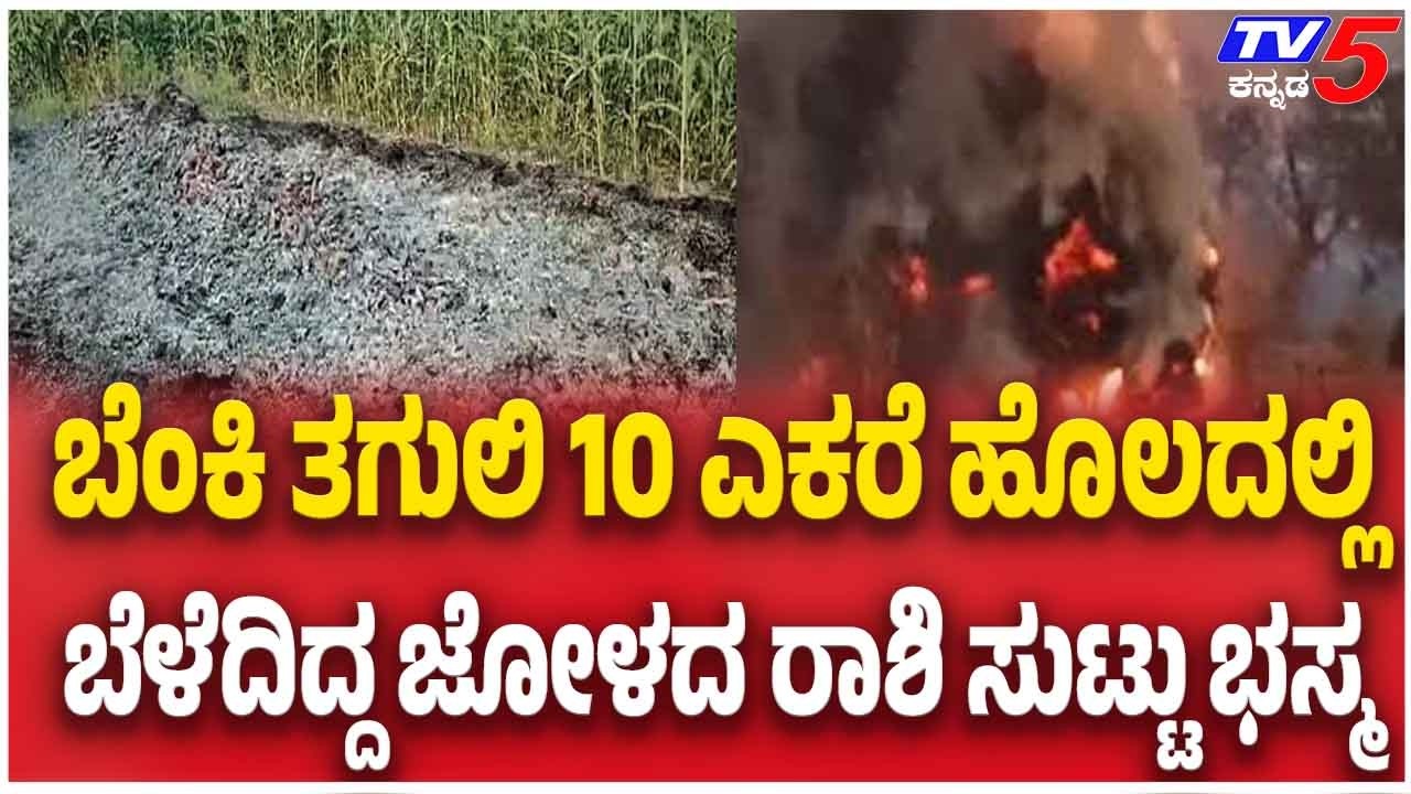 Fire Destroys Jowar Crop Worth ₹4 Lakh In Haveriಬೆಂಕಿ ತಗುಲಿ 10ಎಕರೆ ಹೊಲದಲ್ಲಿ ಬೆಳೆದಿದ್ದ ಜೋಳದ ರಾಶಿ ಭಸ್ಮ
