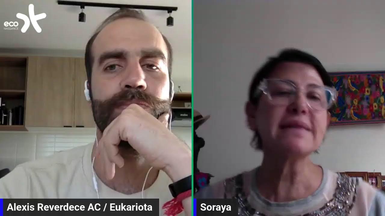 Reciclaje de colillas, certificaciones y acciones reales para la re-generación