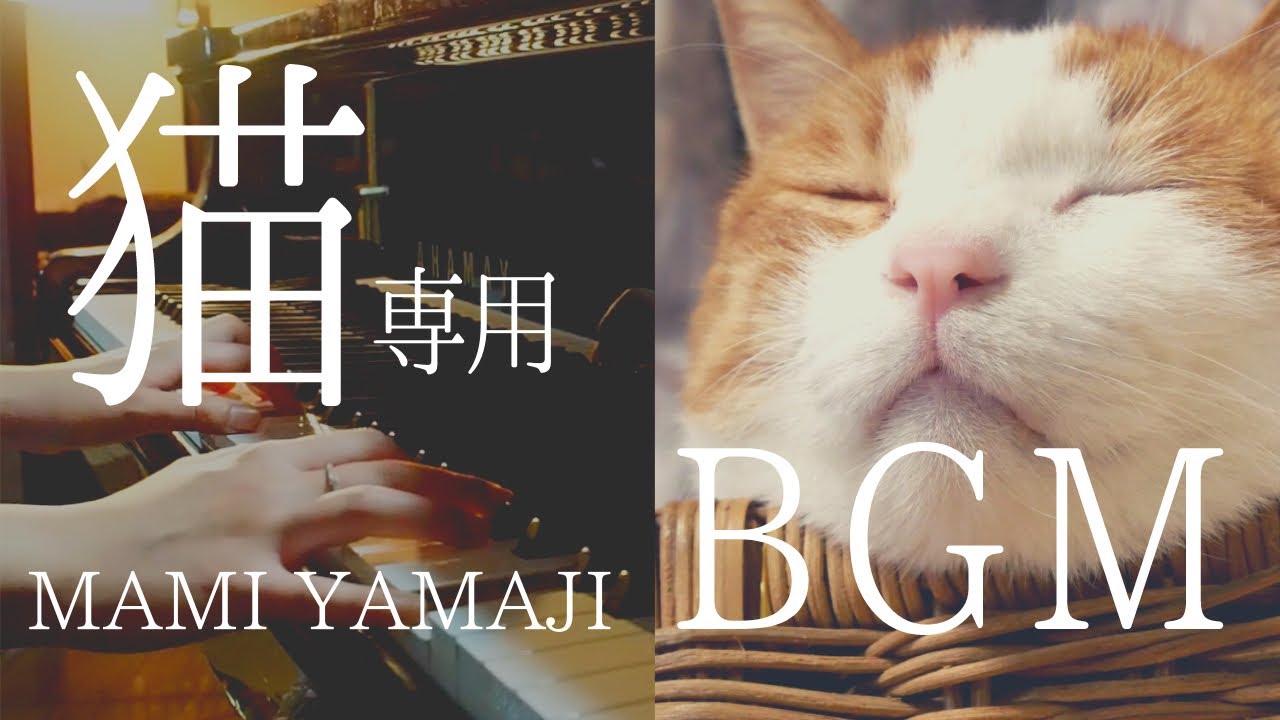 【猫用の音楽】愛猫がリラックスして眠りにつくよう設計された音楽/お昼寝・お留守番用ピアノ音楽BGM