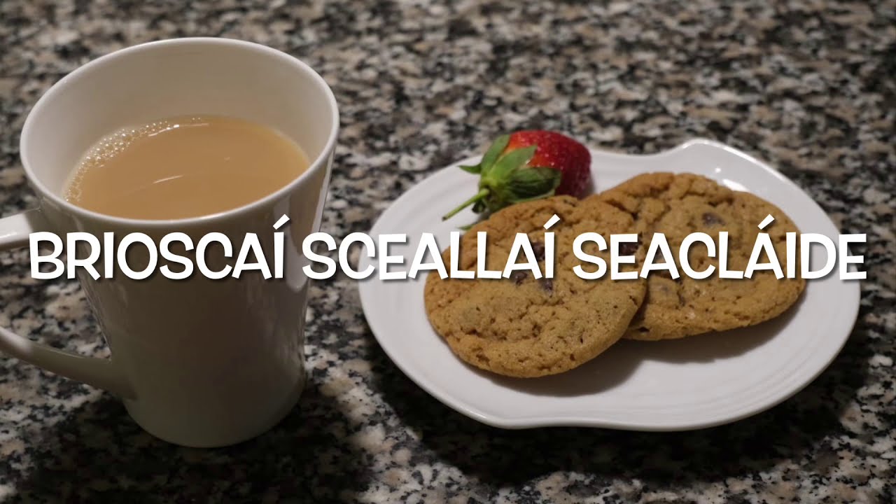 Brioscaí Sceallaí Seacláide
