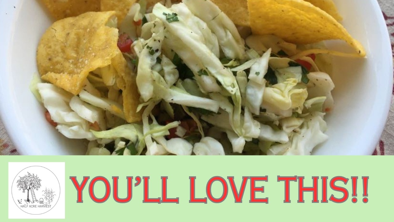 Our Cabbage Salsa Recipe
