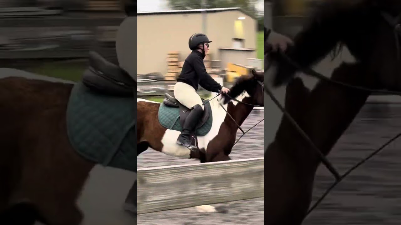 Clinic Day 1 #horse #horsebackriding #foryou #horsevlog #jumping #jumpinghorse #horses #horselover