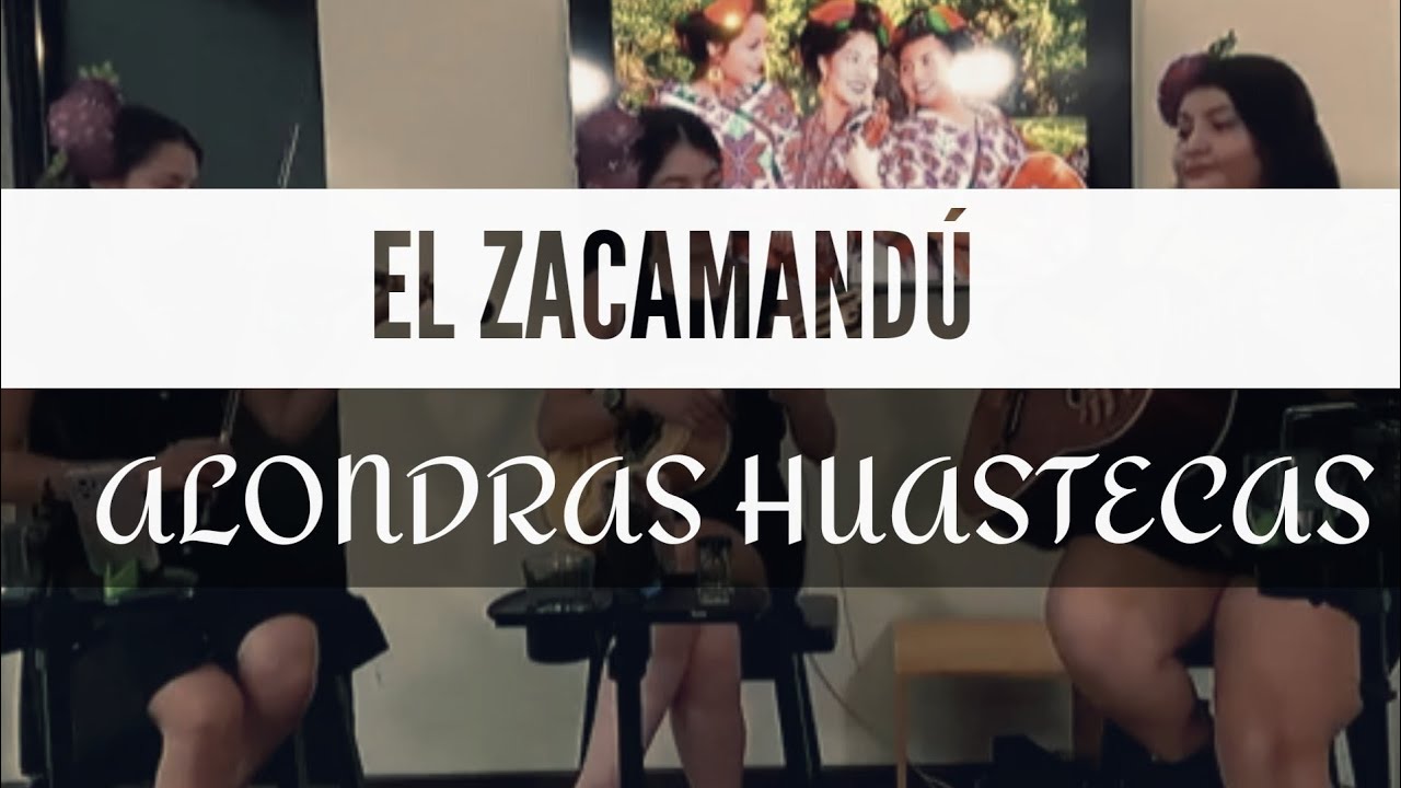 EL ZACAMANDÚ | Alondras Huastecas 2022