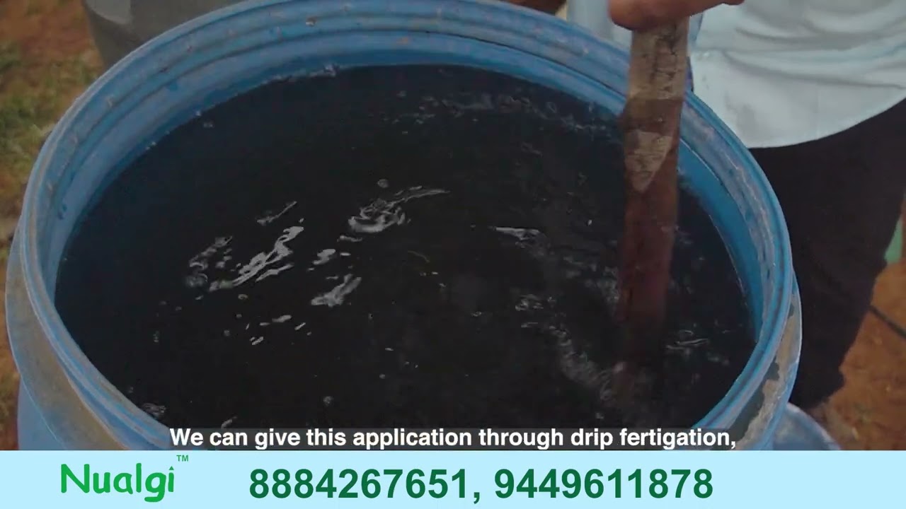Nualgi  Sericulture