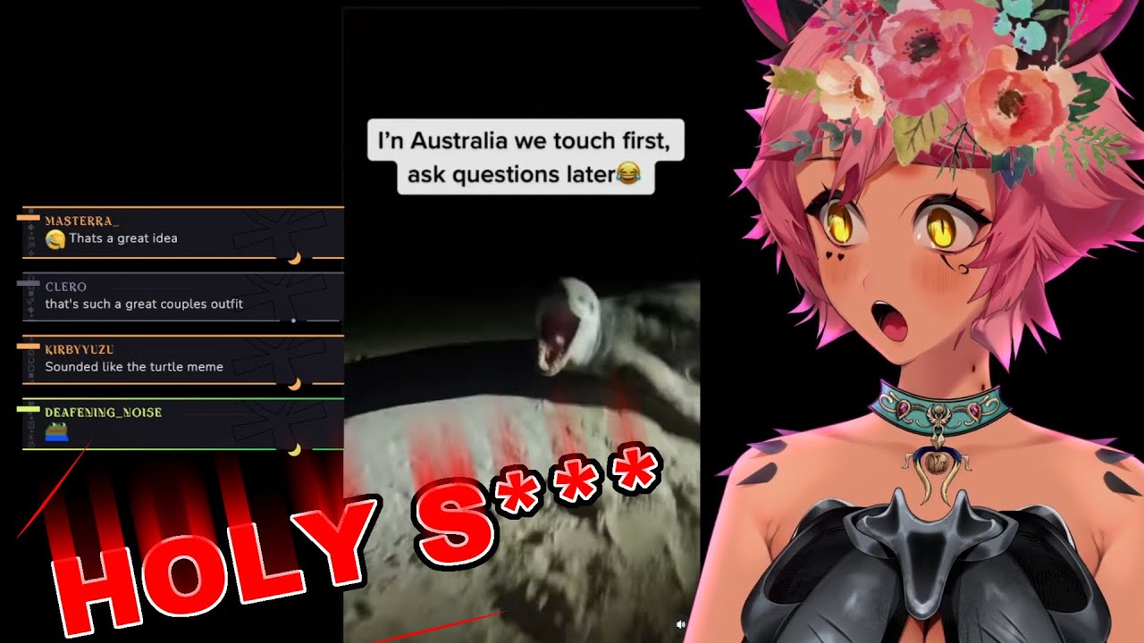 Trickywi Reacts to Meme Compilations