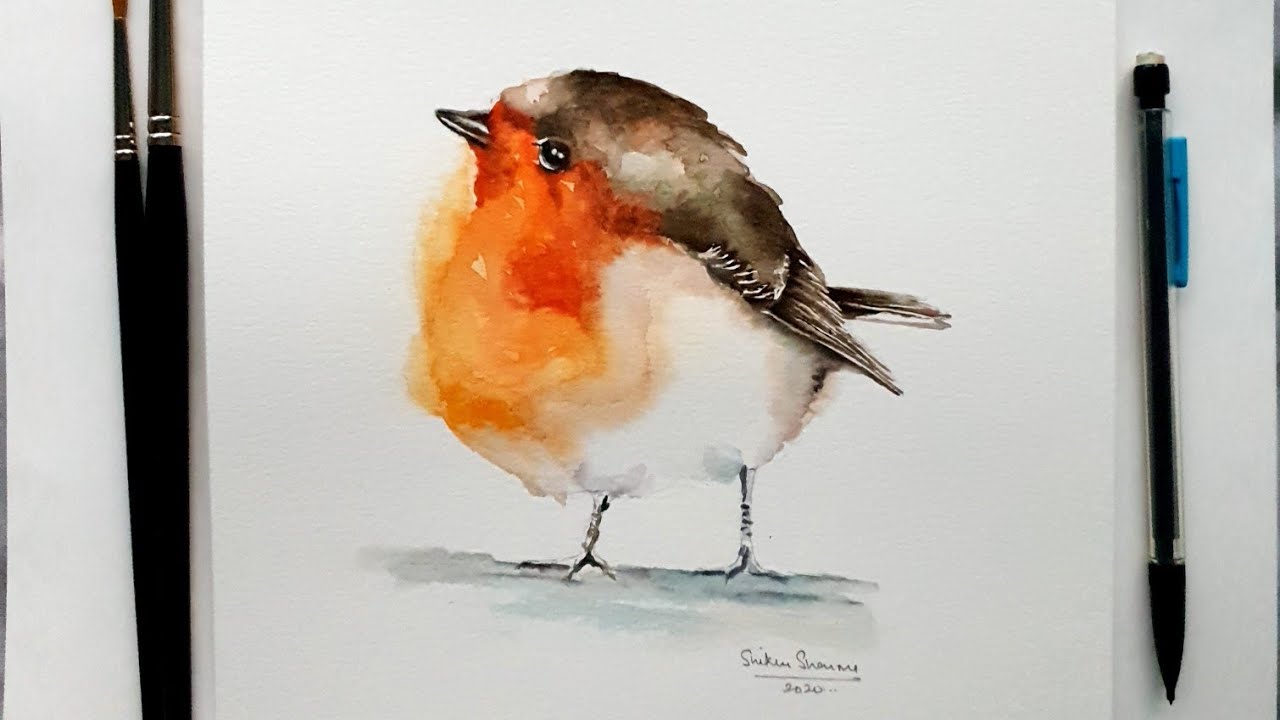 How to paint a Robin in watercolour
